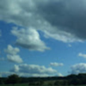 Meet your Posher, Monique